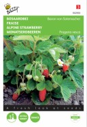 Strawberry Alpine Bon Von Solemacher Seeds